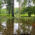Überschwemmter Wildpark am Morgen des 15.07.2021